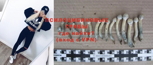 a pvp Белокуриха