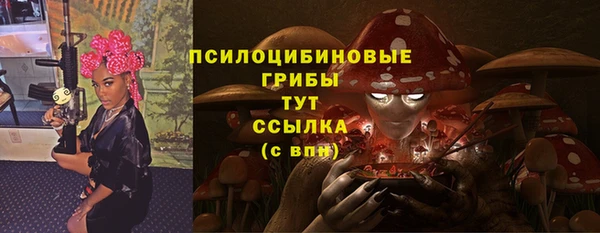 спайс Снежногорск