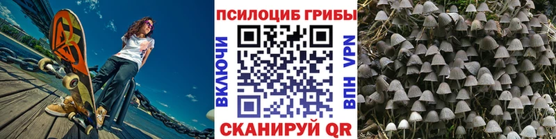 дарнет шоп  Видное  Псилоцибиновые грибы ЛСД 