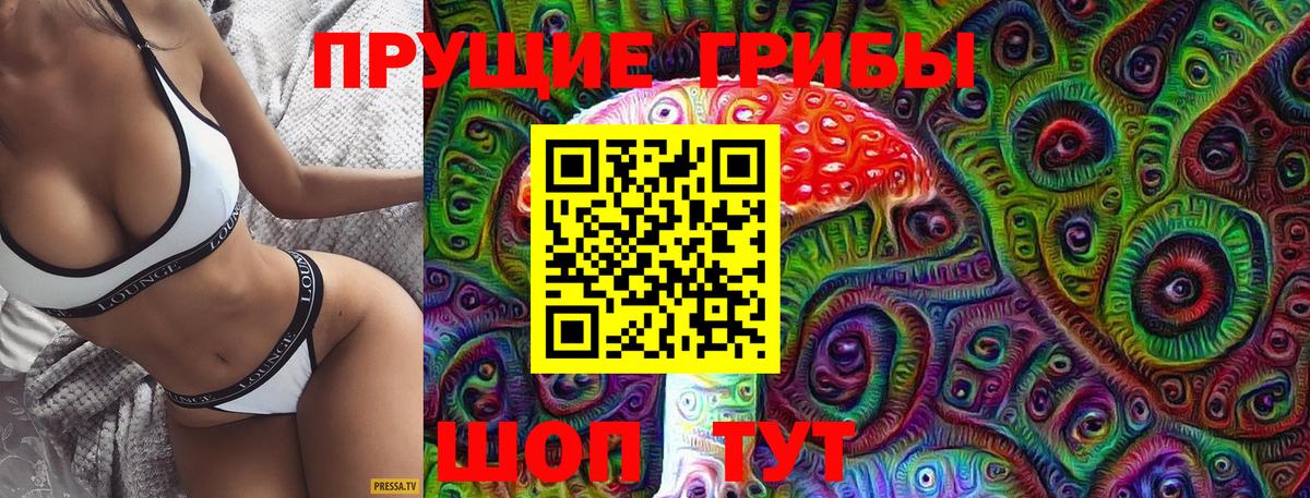 Псилоцибиновые грибы ЛСД Видное