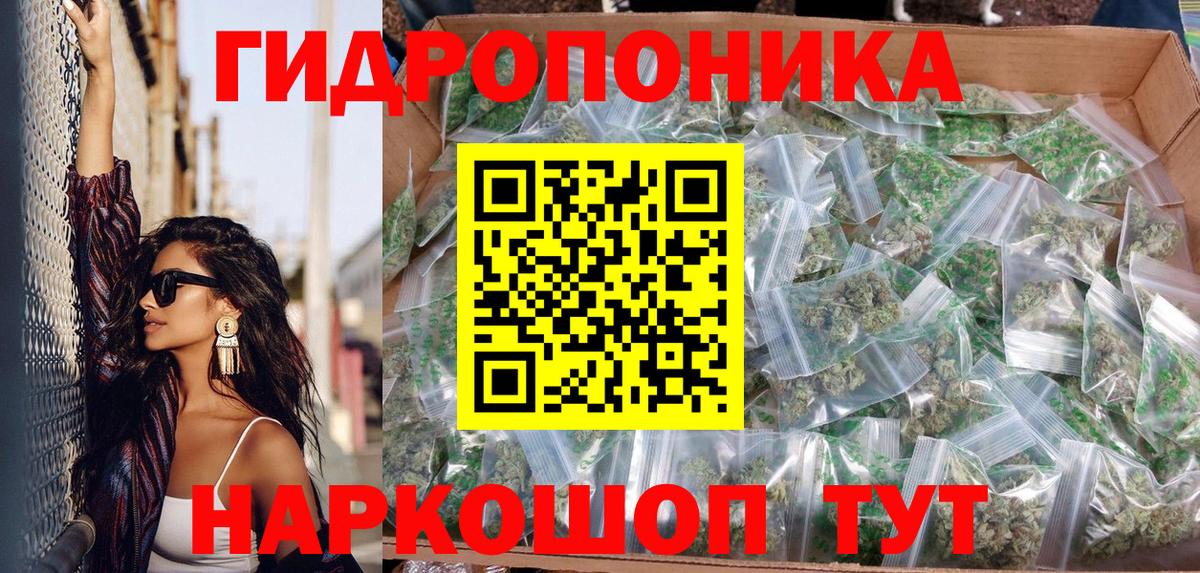 Конопля план Видное